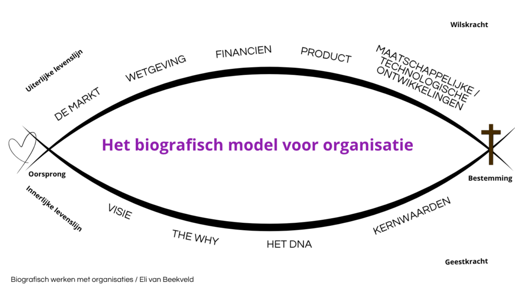 biografisch model blanco(1)